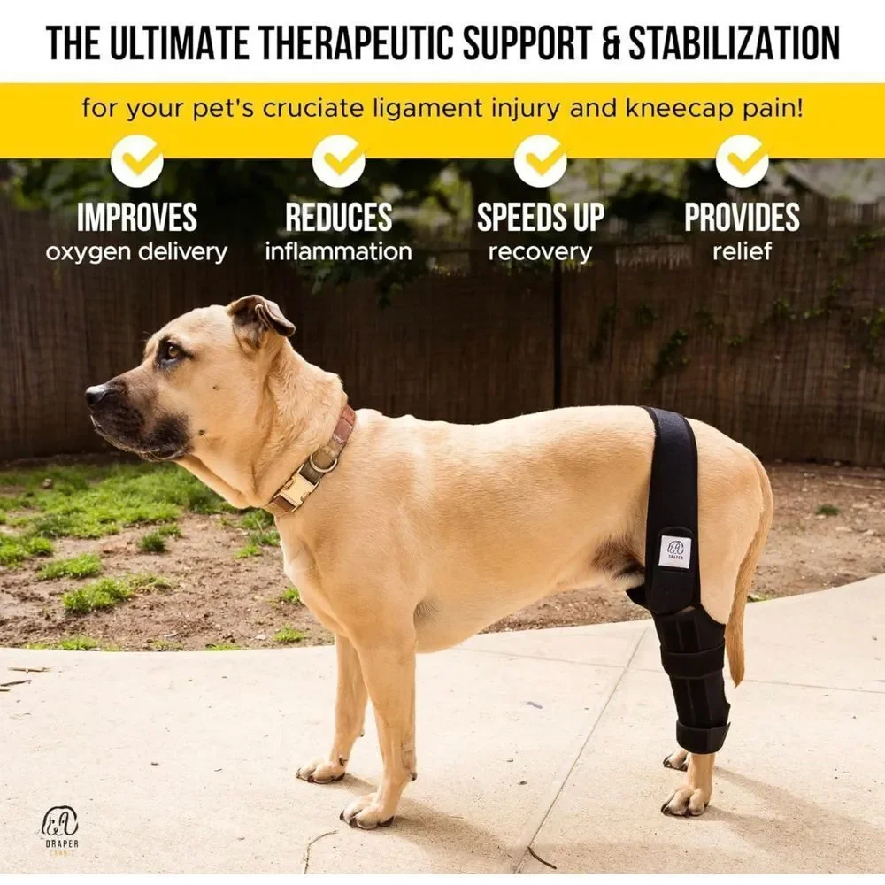 Dog Knee Brace for Torn ACL Hind Leg with Injury‎ Dog Sling Harness size S
